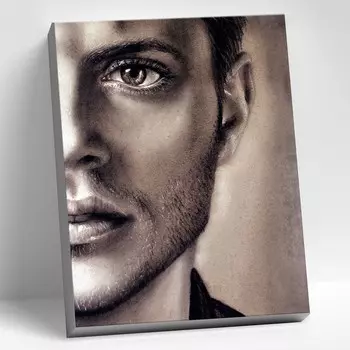 Картина по номерам 40 50 см «Дженсен Эклс» 12 цветов