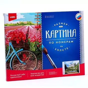 Картина по номерам холст на подрамнике 40 50 см «Замок Данробин»