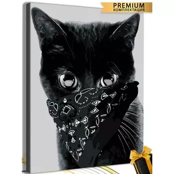 Картина по номерам «Кот бандит» 40 50 см