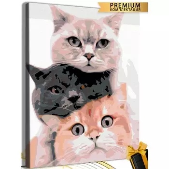 Картина по номерам «Коты» холст на подрамнике, 40 50 см