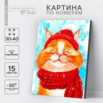Картина по номерам на холсте с подрамником «Довольный кот», 30 х 40 см