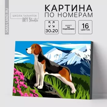 Картина по номерам на холсте с подрамником «Бигль в горах», 30х20 см