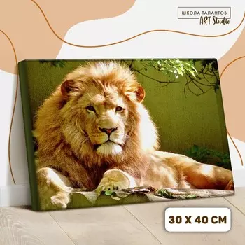 Картина по номерам на холсте с подрамником «Лев», 40х30 см