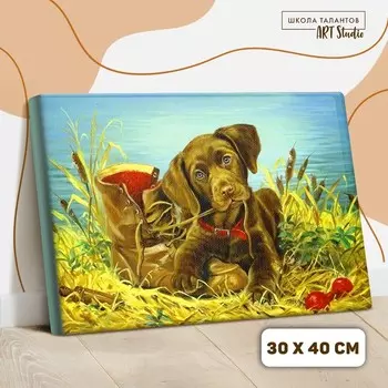 Картина по номерам на холсте с подрамником «Щенок с ботинком», 40х30 см