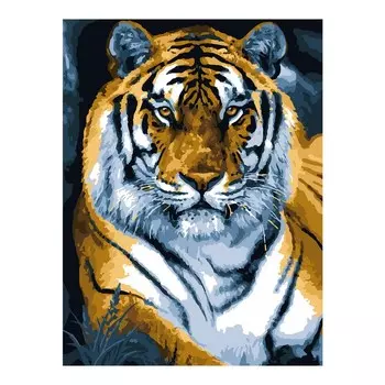 Картина по номерам на картоне 28,5 38 см «Властелин тайги»