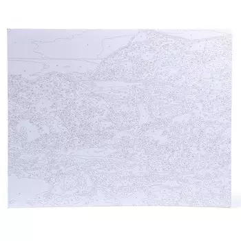 Картина по номерам на картоне 40 50 см «Дикое побережье»