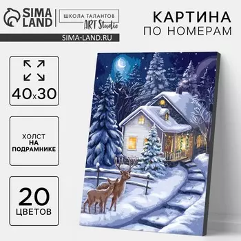 Картина по номерам на новый год на холсте с подрамником «Зимняя ночь», 40 х 30 см