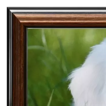 Картина "Пёс и одуванчики" 35х28 (38*31)см