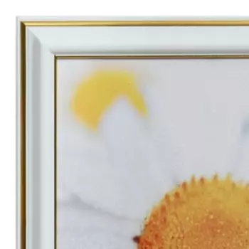 Картина "Ромашки" 25х25(28х28) см