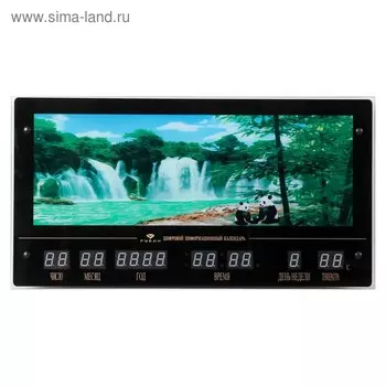 Картина с информационным календарем "Живая природа"