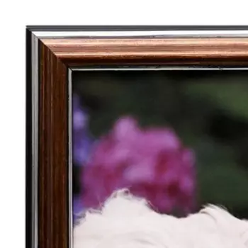 Картина "Щенки у забора" 43х53 см