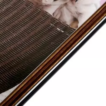 Картина "Щенята" 35х28 (38х31) см