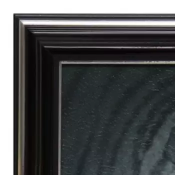 Картина "Тигр" 18х18(21,5х21,5) см