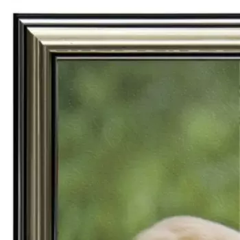 Картина "Три щенка" 20х25 (28*23) см