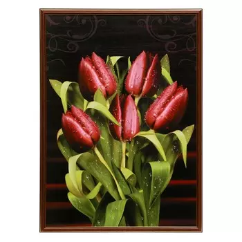 Картина "Тюльпан" 50х70(53х73) см