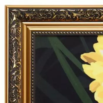 Картина велюр "Данаида монарх" 100х70 (107х77)см