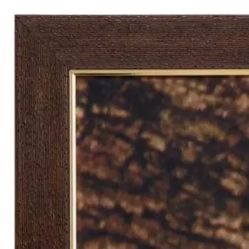 Картина велюр "Кошачьи лемуры" 100х70 (105х74)см