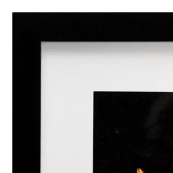 Картина "Яркие цветы на чёрном" 35х35(39х39) см