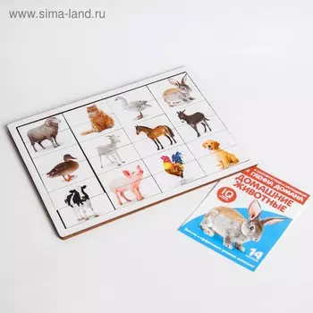 Карточки Домана с пазлами «Домашние животные»