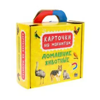Карточки на магнитах. Домашние животные