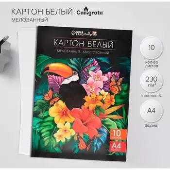 Картон белый А4, 10 листов двусторонний, мелованный, блок 230 г/м2, EXTRA белизна