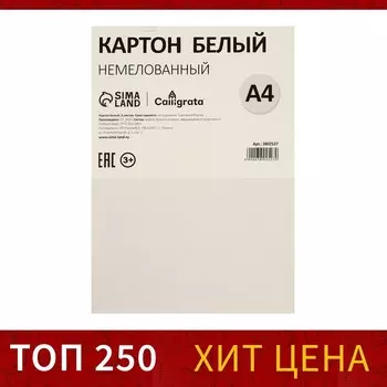 Картон белый А4, 6 листов, 220г/м2 Calligrata, немелованный, на скобе, ЭКОНОМ