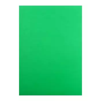 Картон цветной А3, мелованный, 215 г/м2, зелёный /Финляндия/, цена за 1 лист