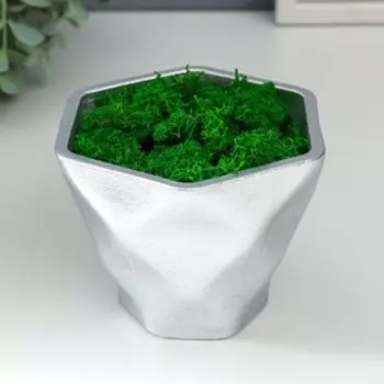 Стабилизированный мох в кашпо из бетона «Фантазия», 9 см, серебро