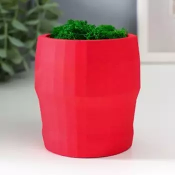 Кашпо бетонное "Голова" со мхом высота 8,5 см красное (мох зеленый стабилизированный)