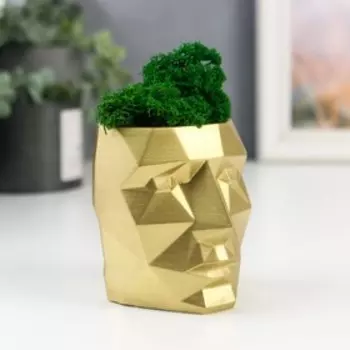 Кашпо бетонное "Голова" со мхом высота 8,5 см золото (мох зеленый стабилизированный)