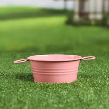 Кашпо "Бонсайница", 11*5см, микс