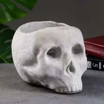 Кашпо "Череп" 21х14х15см