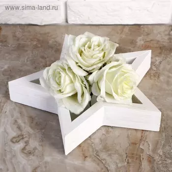 Кашпо деревянное 27274.5 см "Звезда", белая кисть