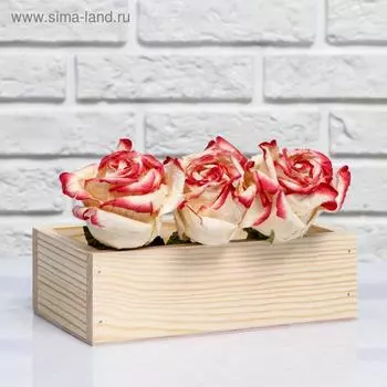 Кашпо деревянное, МАССИВ, натуральное