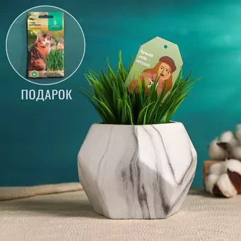 Кашпо для цветов «Лучший день сегодня», 131310 см, керамика, белое