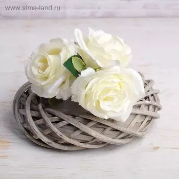 Кашпо «Кольцо», 23×5 см, ива