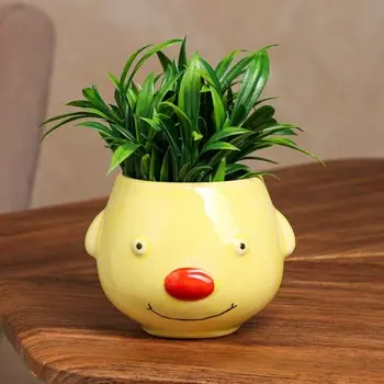 Кашпо "Кот", желтое, керамика, h=11 см, 0.5 л, 1 сорт, Иран