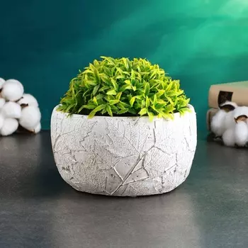 Кашпо «Лив» 161610 см