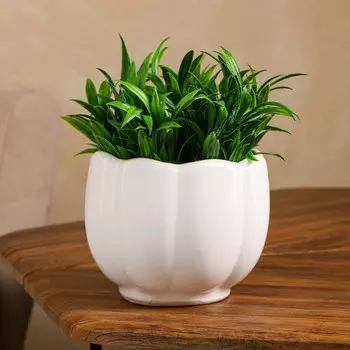 Кашпо "Лотос", белое, керамика, 1.2 л, 1 сорт, Иран