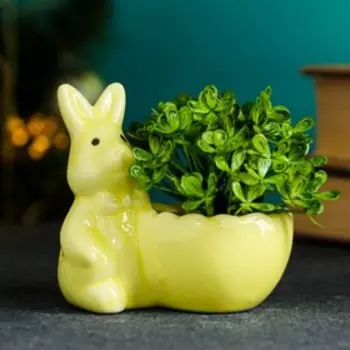 Кашпо "Нарядный кролик" 9х8см, микс