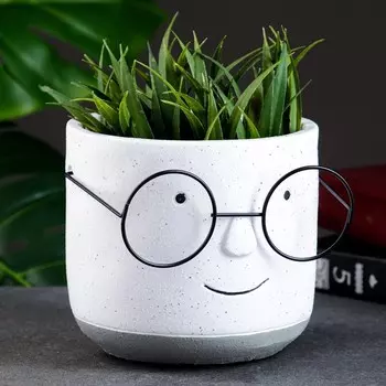 Горшок для цветов «Горшок который выжил» керамический, 1 л, 141413 см, бело-серый