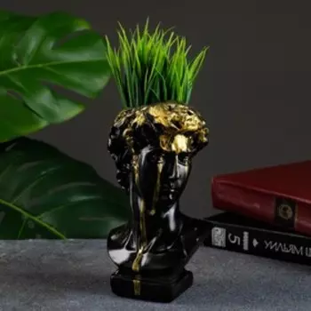 Фигурное кашпо для цветов «Бюст Давида », 100 мл, 17910 см, гипс, чёрное