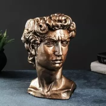 Кашпо - органайзер "Голова Давида" бронза, 19х27х17см