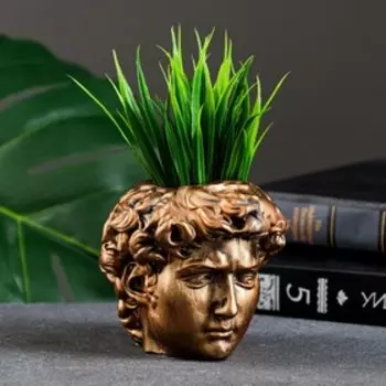 Кашпо - органайзер "Голова Давида" бронза, 9х9х9см