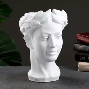 Кашпо - органайзер "Голова девушки" белое, 24х31х20см