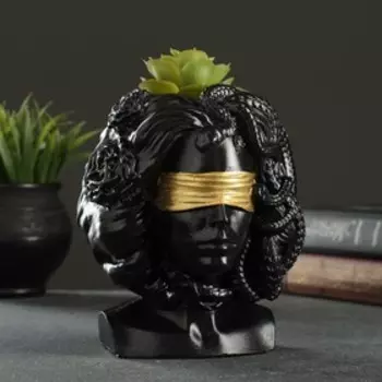 Кашпо - органайзер "Горгона Медуза" черная с золотом, 13х16х11см