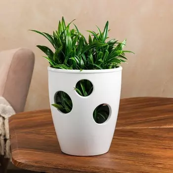 Кашпо "Орхидейница", глянец, белый, 1.3 л