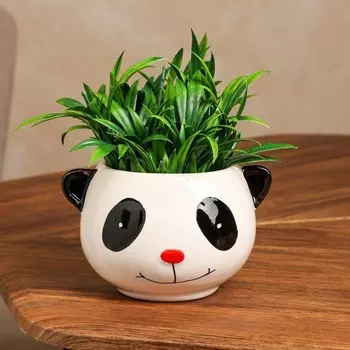Кашпо "Панда", белое, керамика, 0.6 л, 1 сорт, Иран