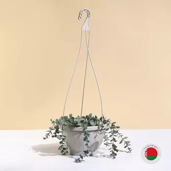 Кашпо подвесное, 2 л, пластик, бежевое