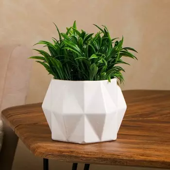 Кашпо "Ромб", белое, керамика, 15х11.5 см, 1 сорт, Иран